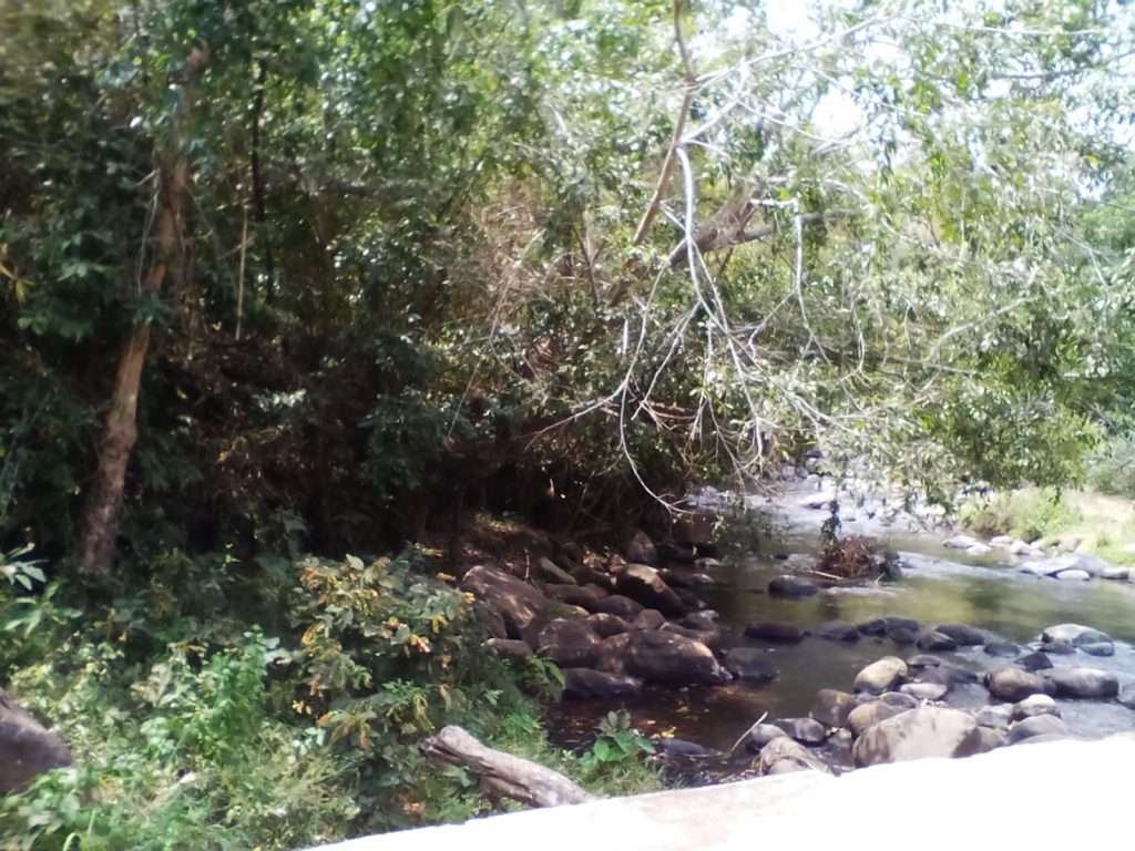 The access to a school in South Lembor, crossing small rivers